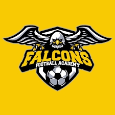 Falcons Football Academy