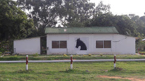 Arpa, Army Riding And Polo Academy